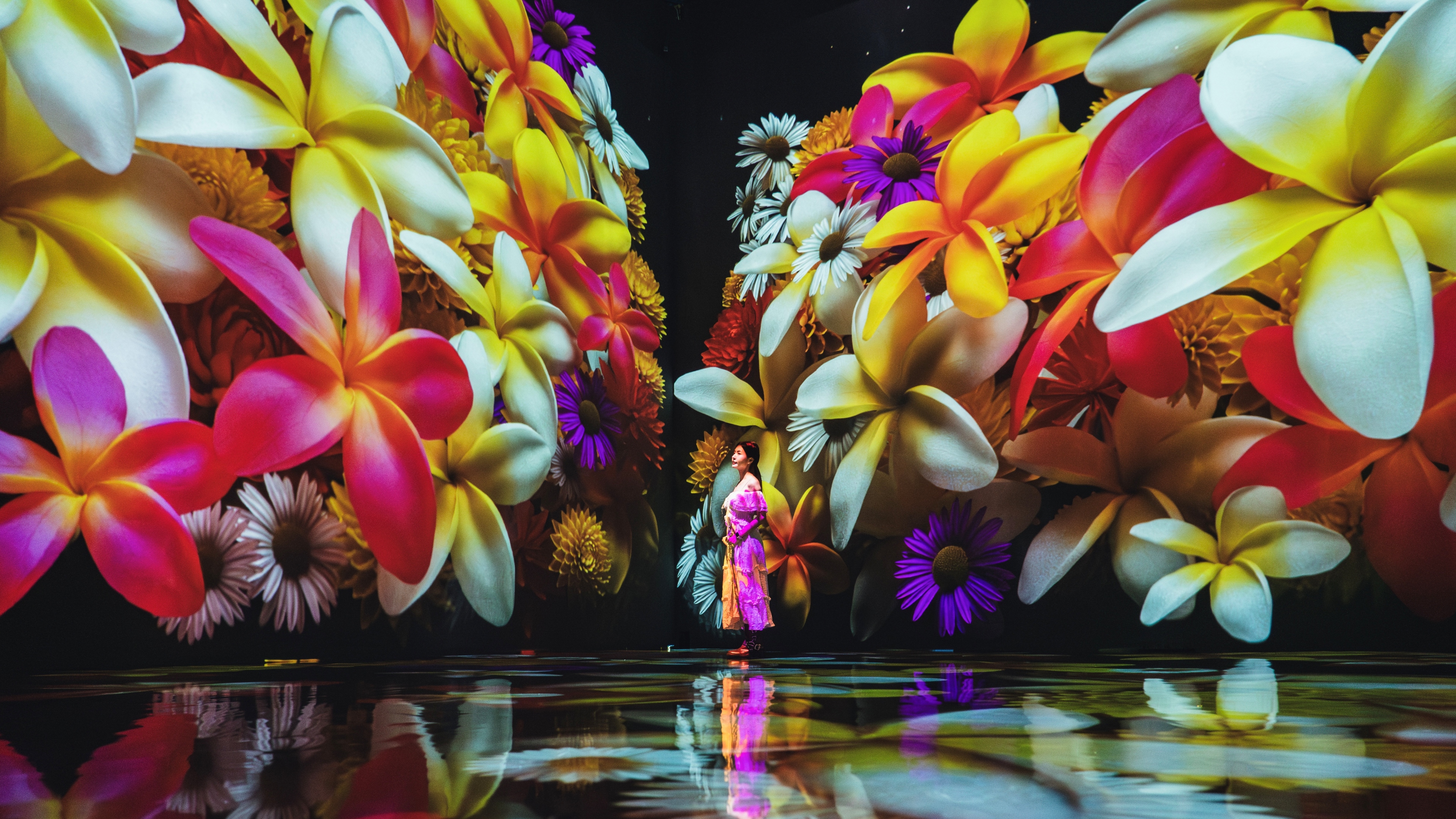 PADO MEDIA ART SPACE