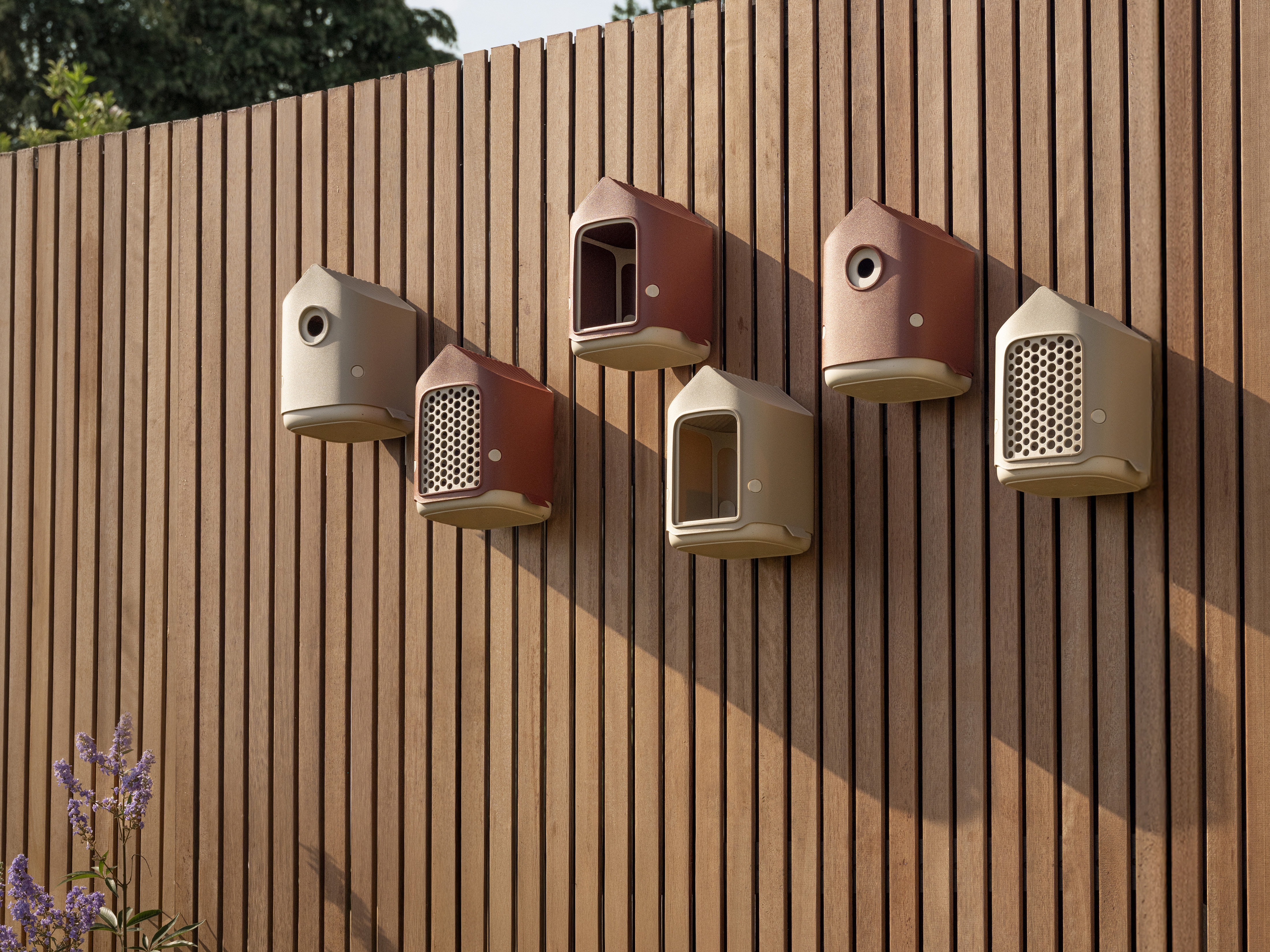 elho b’s — biodiversity collection
