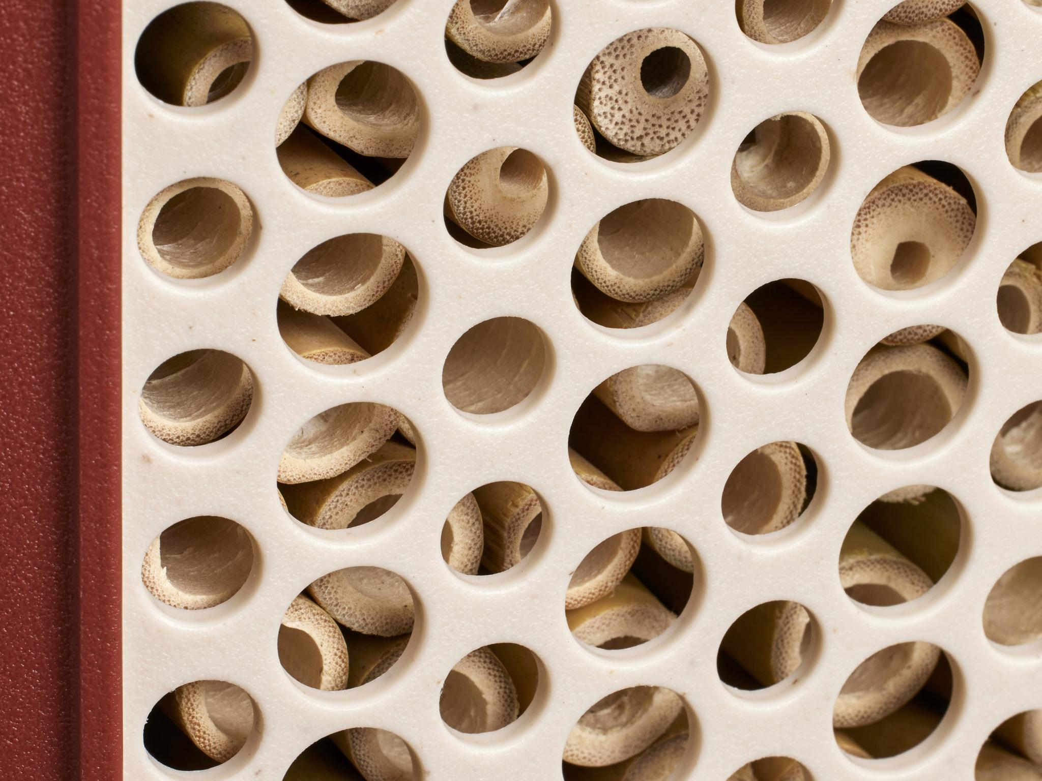 elho b’s — biodiversity collection
