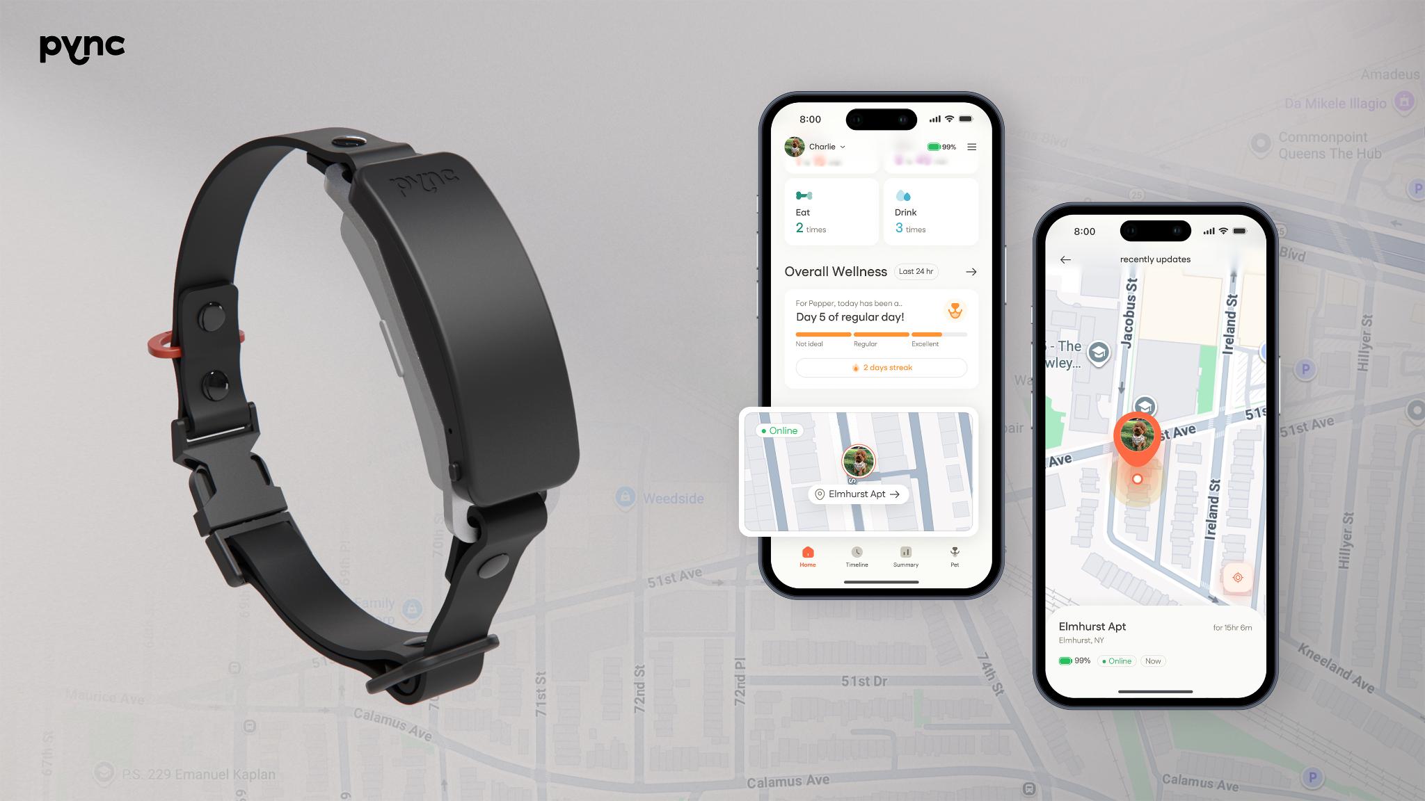 Pync Smart Collar: Original