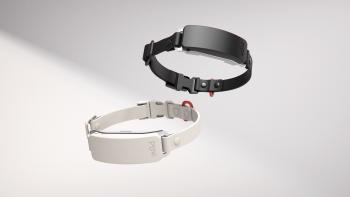 Pync Smart Collar: Original