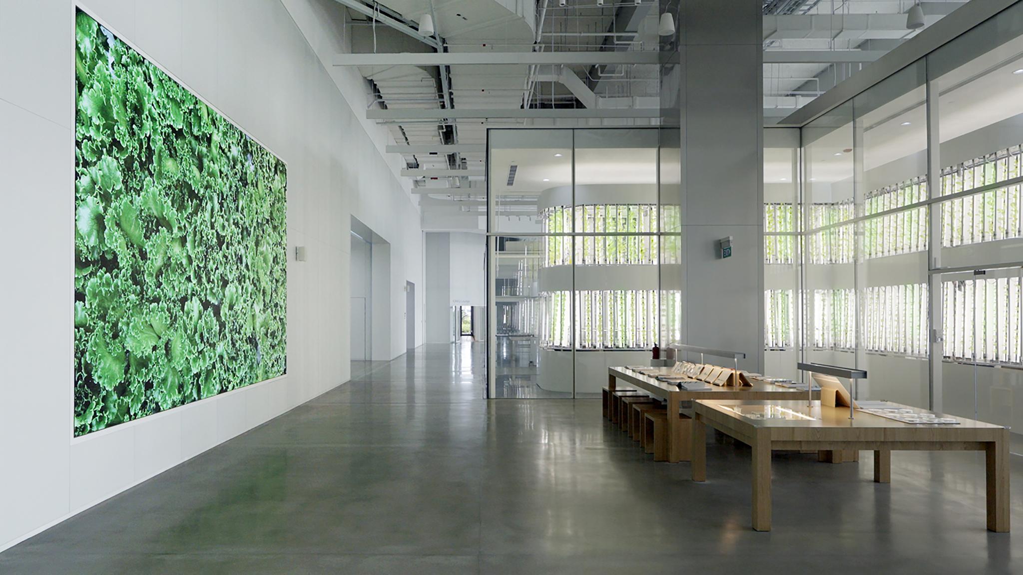 HMGICS CX Smart Farm