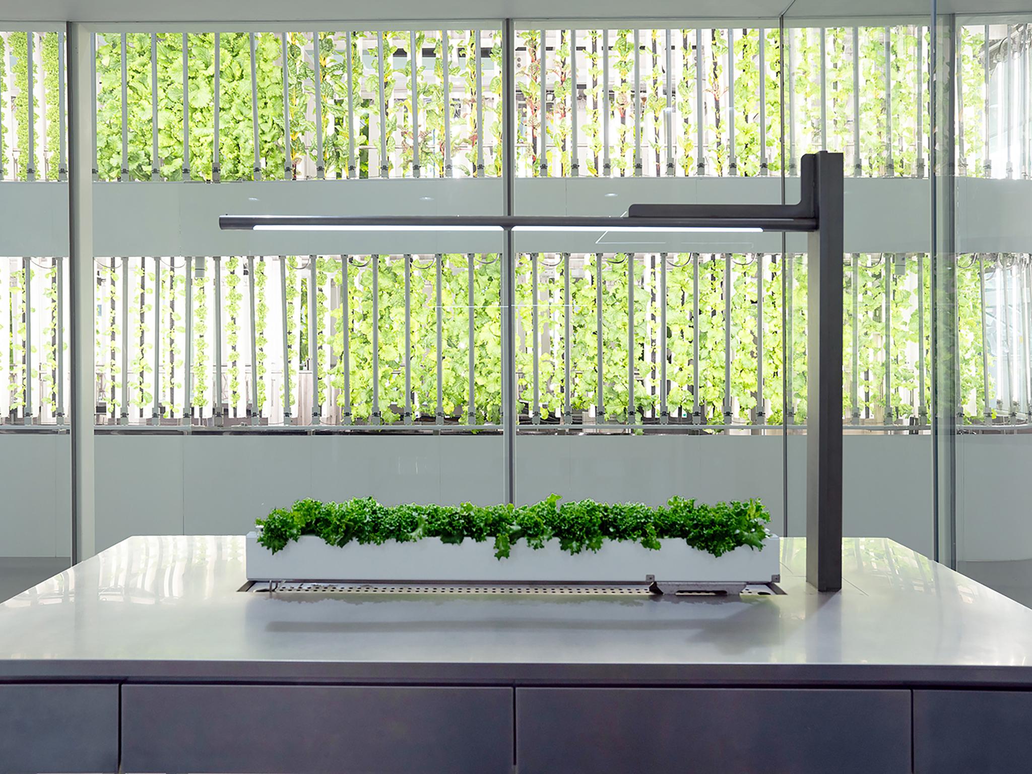 HMGICS CX Smart Farm