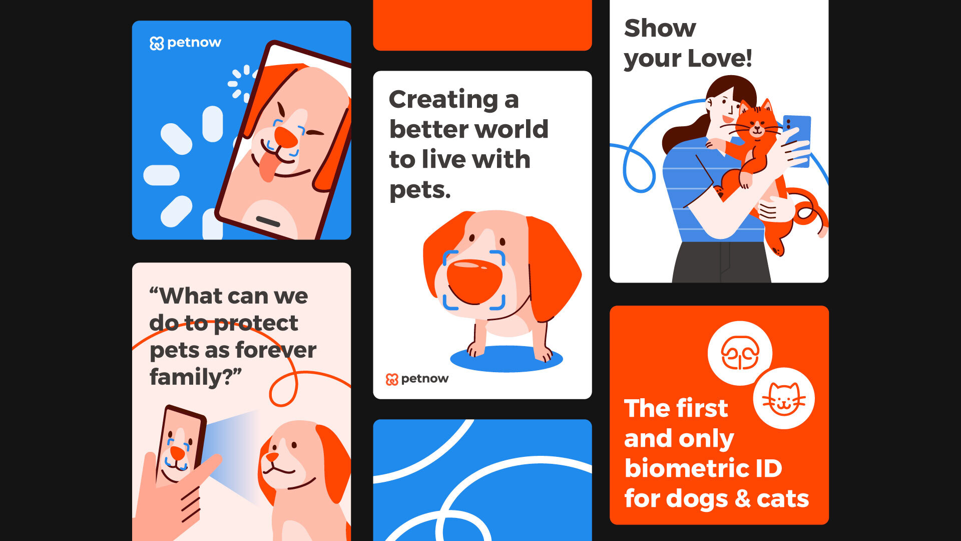petnow Brand Identity