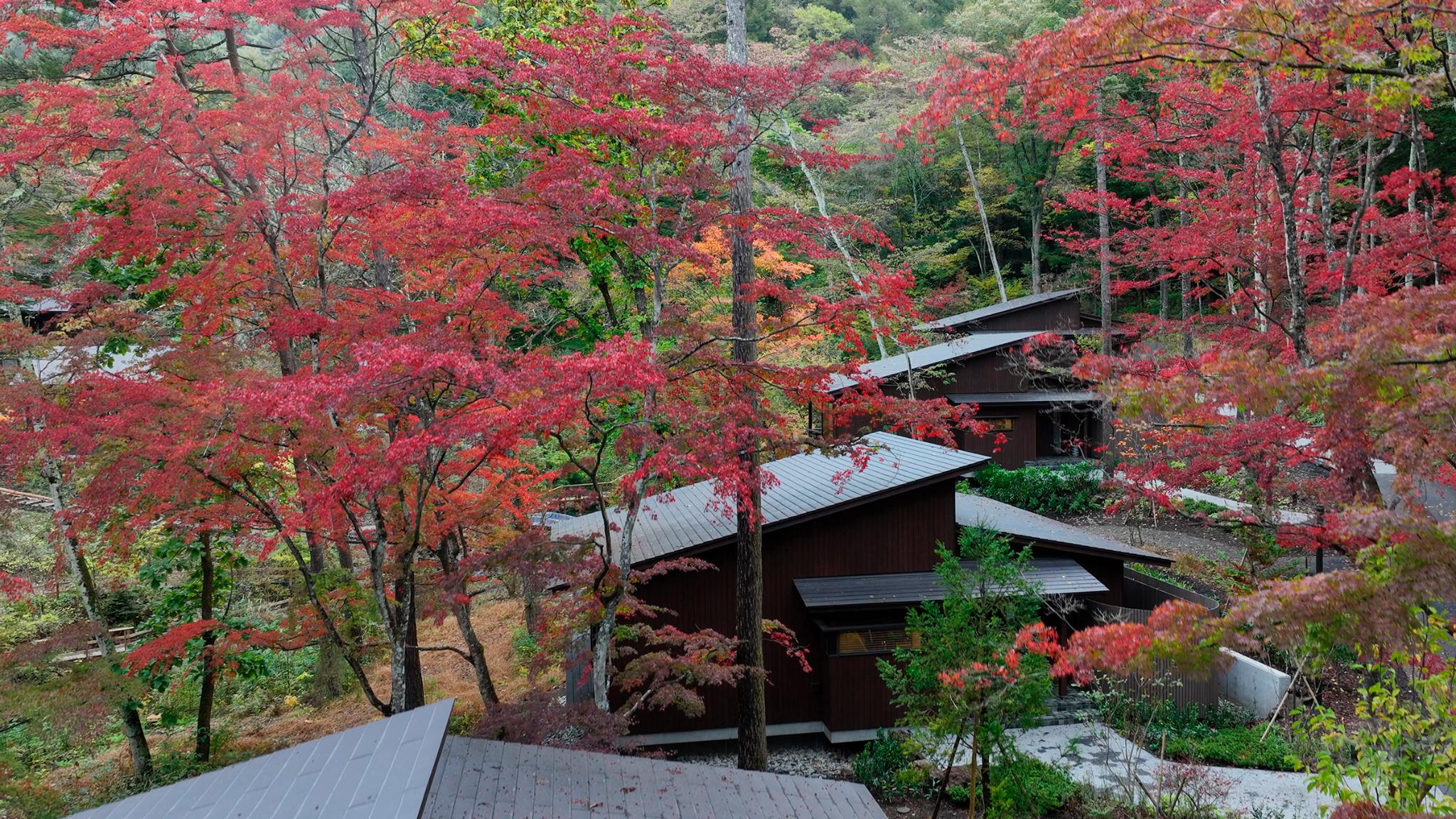 KX-FOREST KARUIZAWA