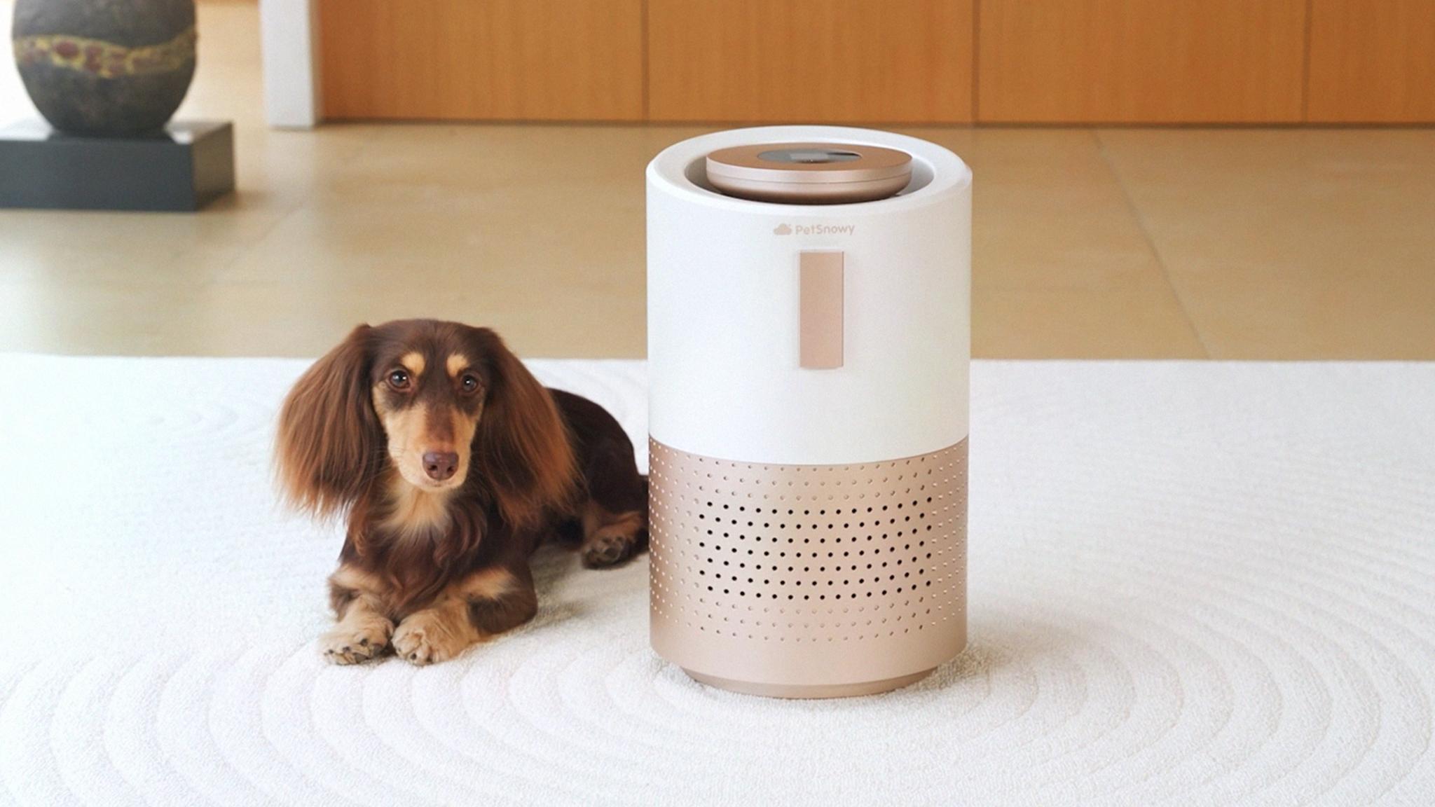 PetSnowy Pet Air purifier