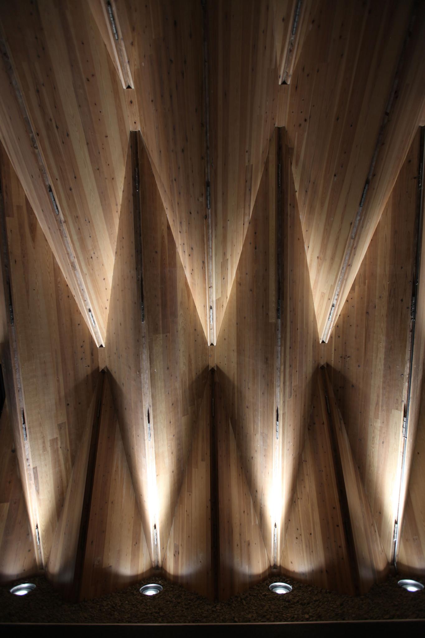 RITE Forest of the Future