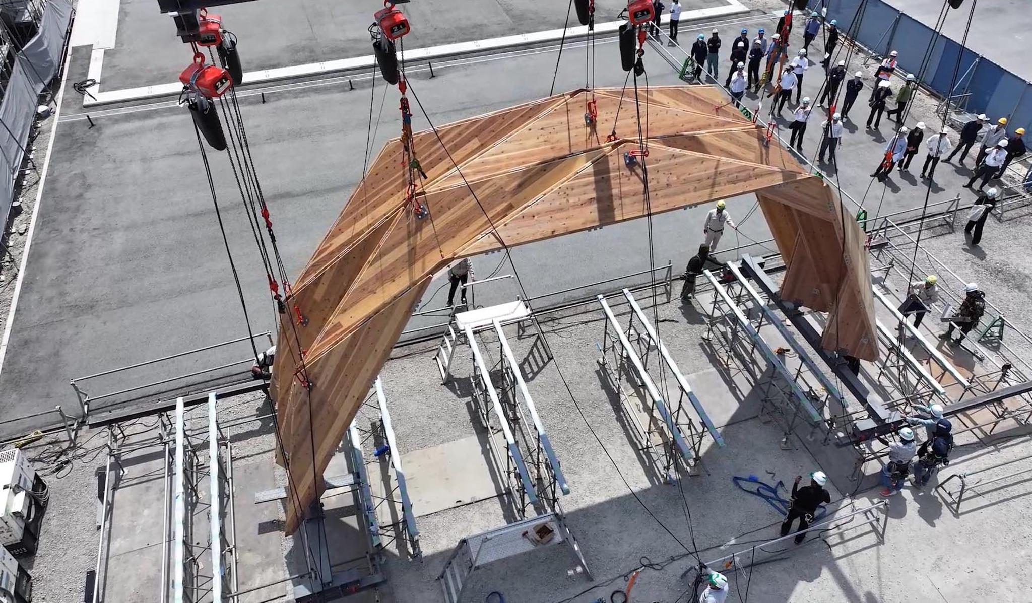 RITE Forest of the Future