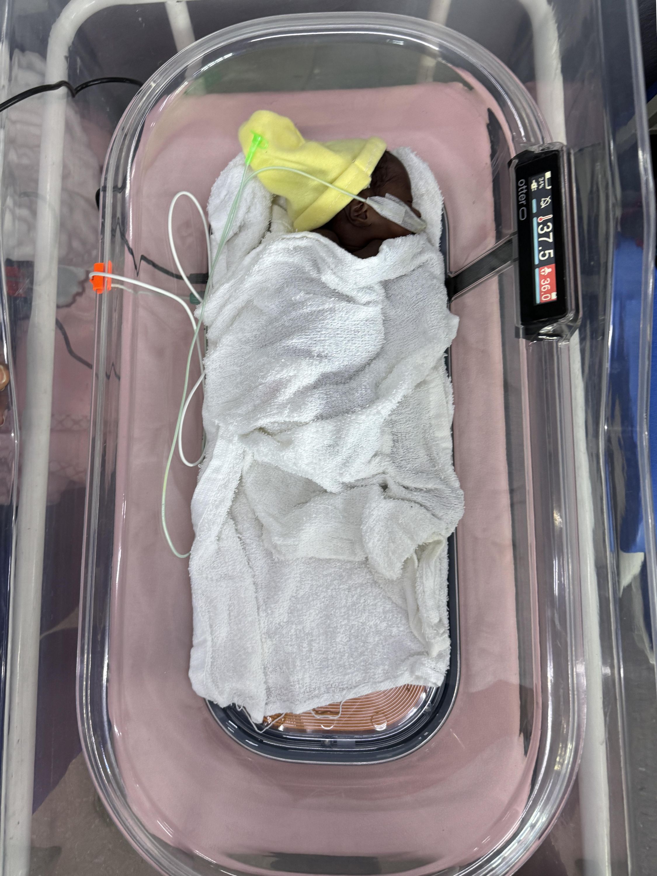 Otter Newborn Conductive Warmer