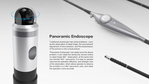 Panoramic endoscope