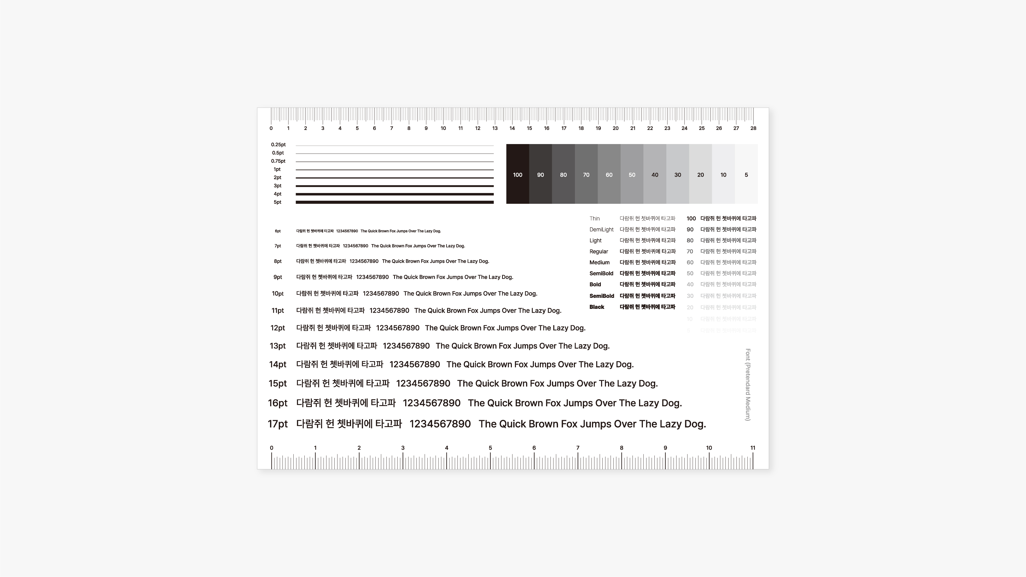 Visual Standard Sheet