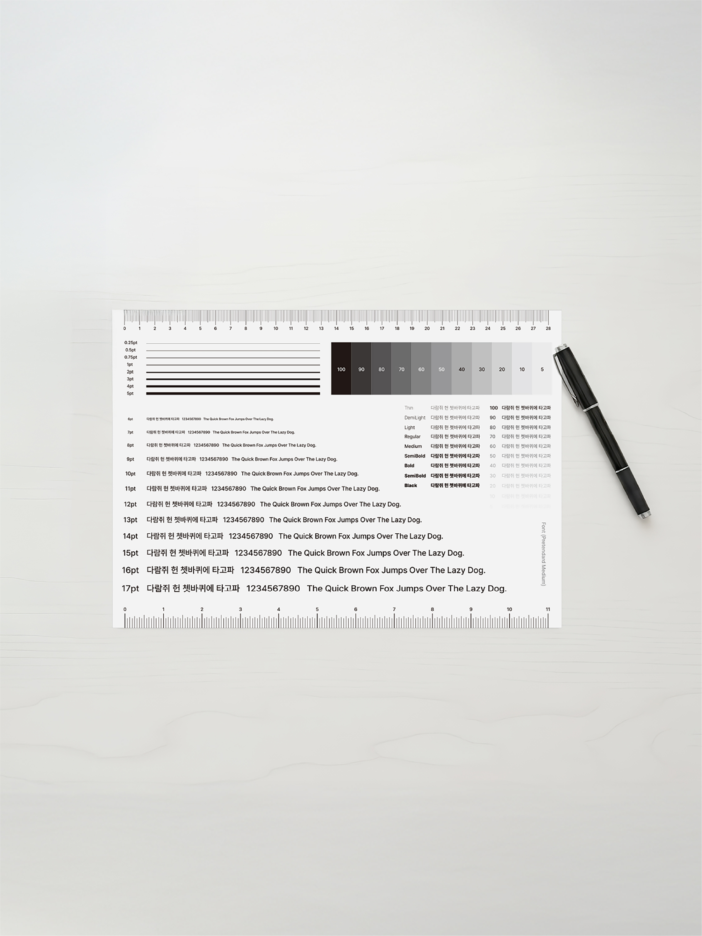 Visual Standard Sheet