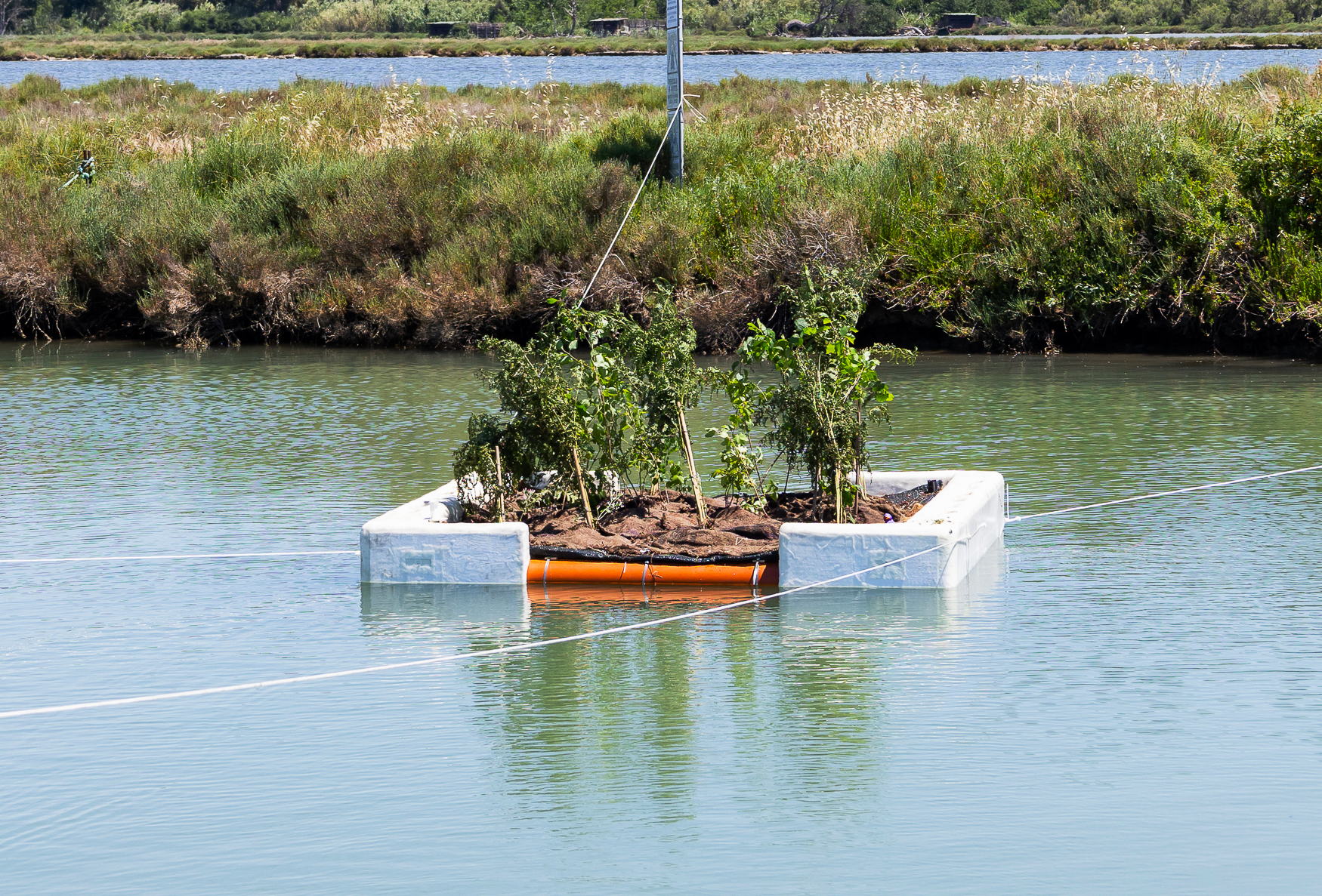 Lilipur - Living Water Infrastructure