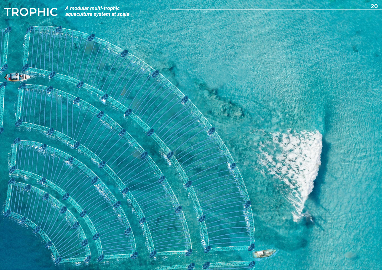 Trophic - The Future of Fish Farming