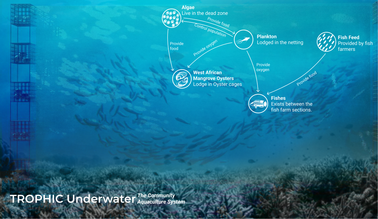 Trophic - The Future of Fish Farming