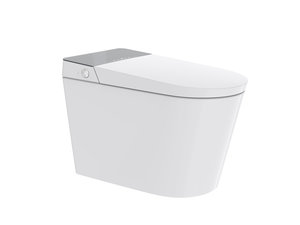 Full function voice control smart toilet