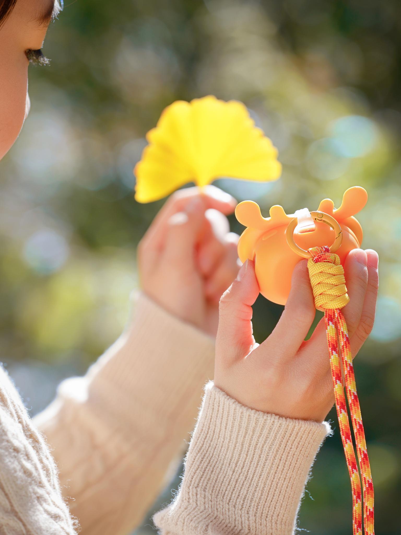 Lookee PocketSpeak AI