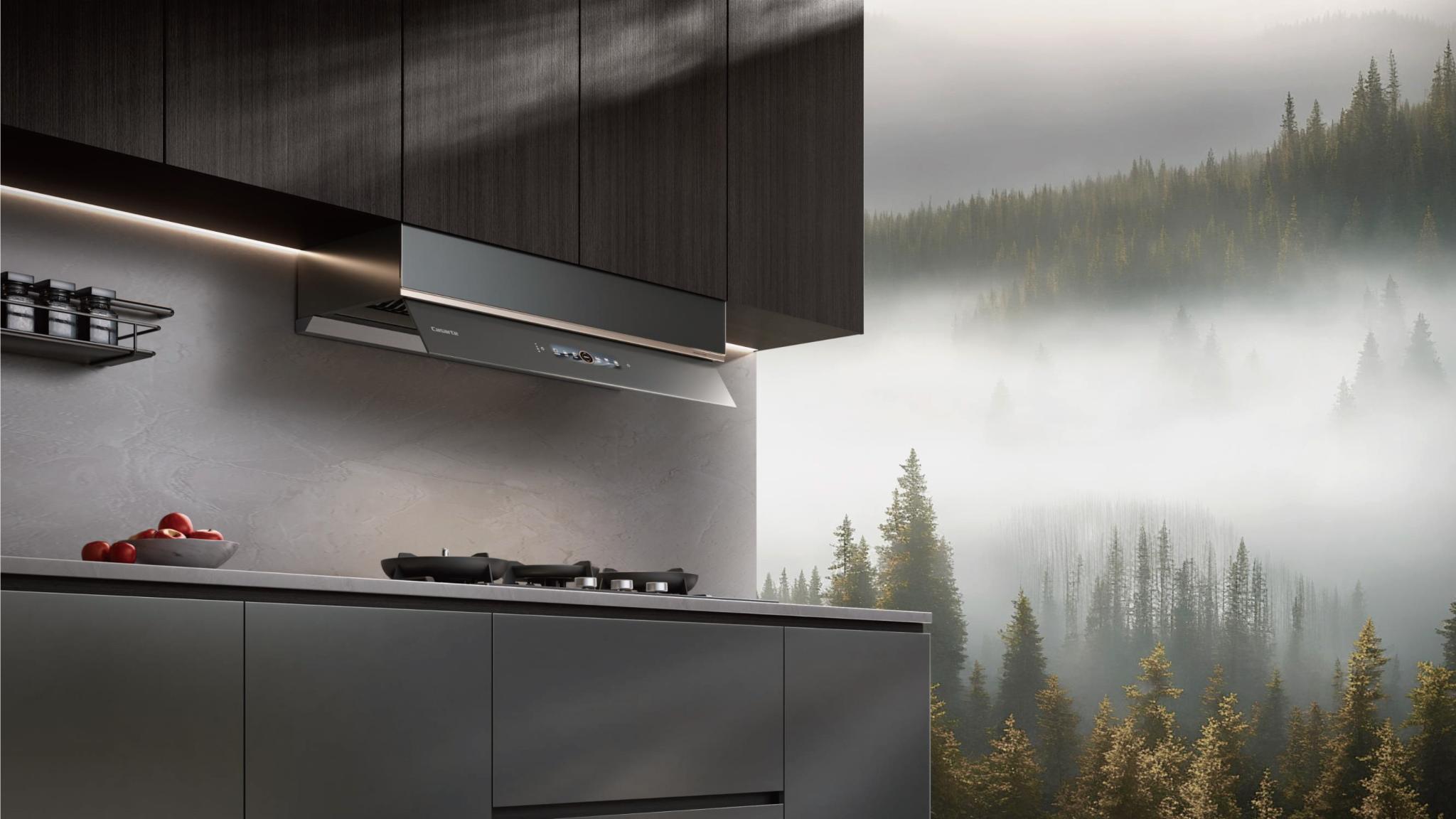 Casarte 2025 Connoisseur Collection