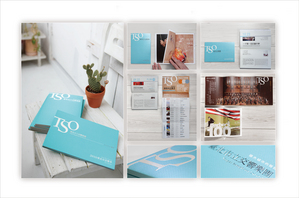 TSO-2010 Brochure