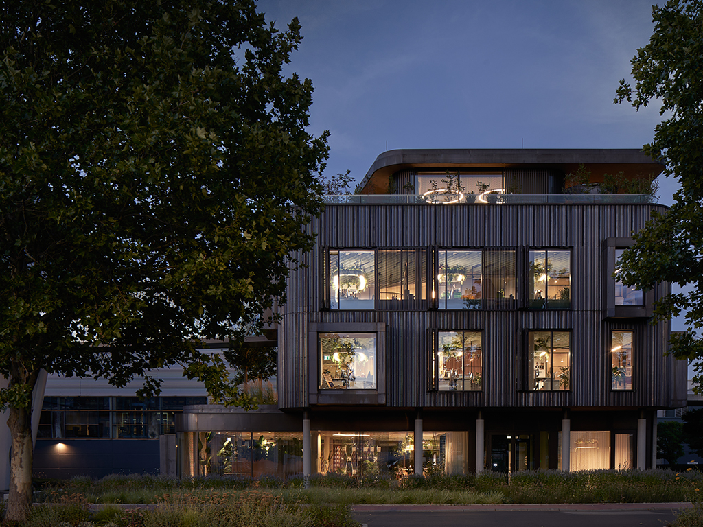 The Treehouse – Office for HassiaGruppe