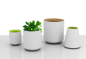 Bagasse Flowerpot