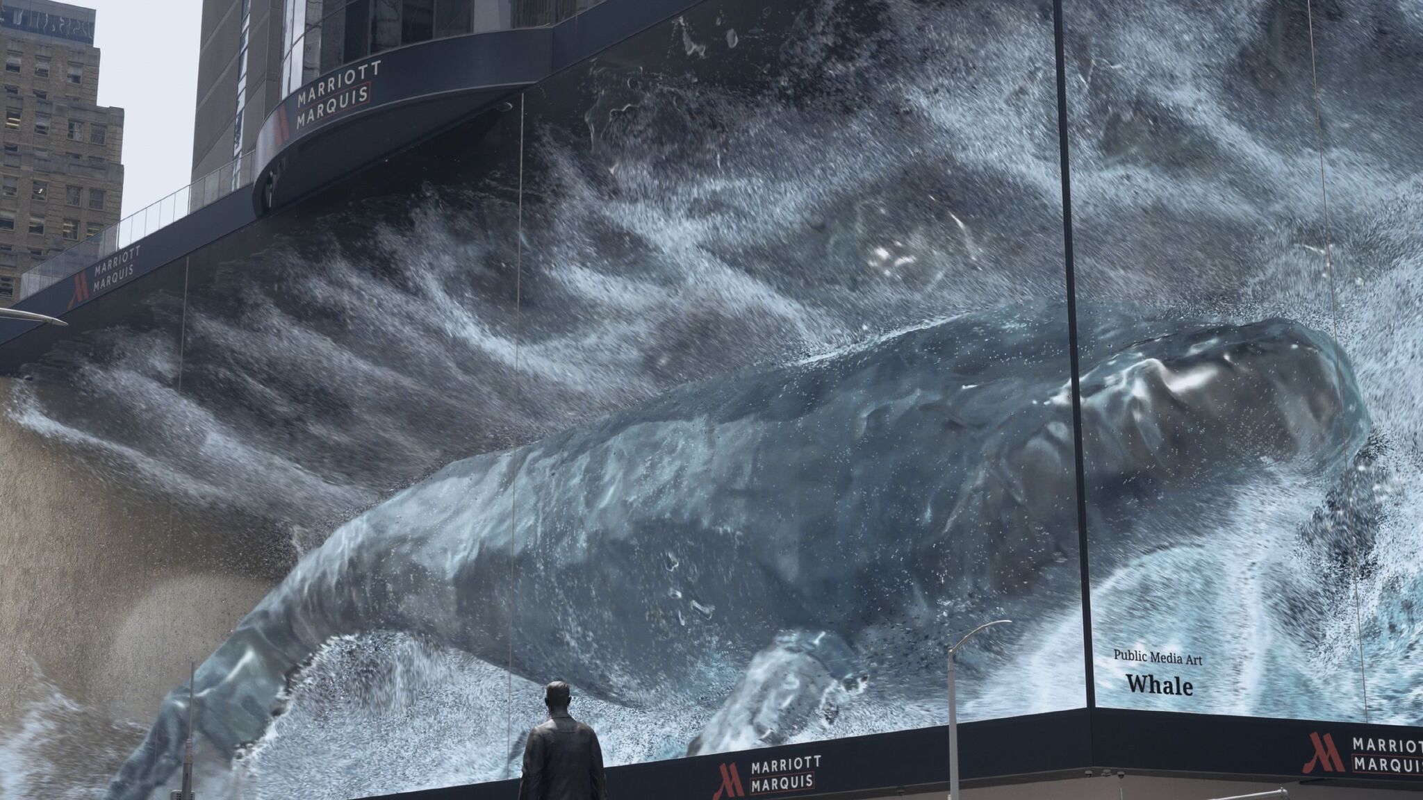 Whale #2