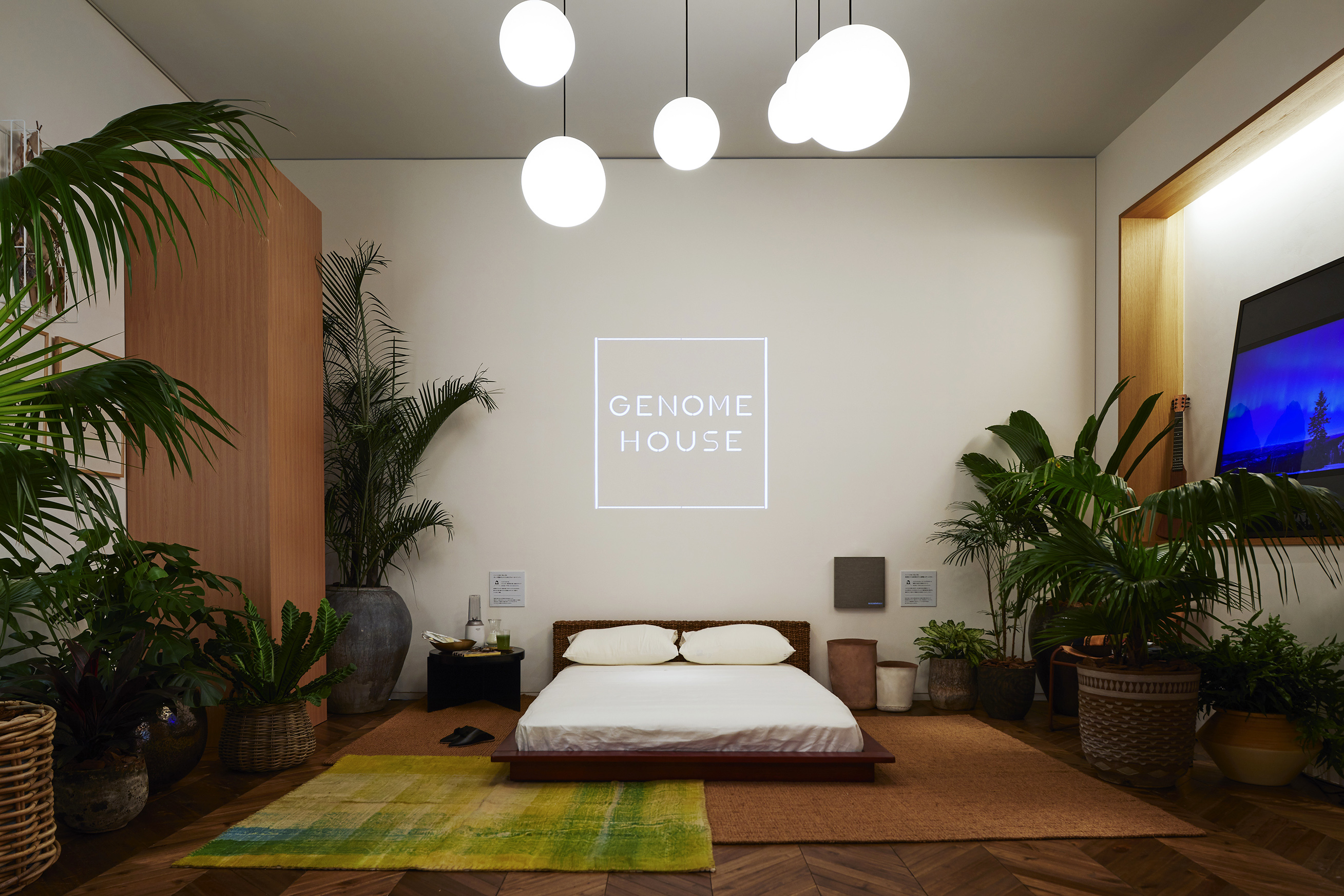 GENOME HOUSE: Relaxing house on a genetic level
