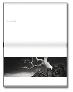 Bäume / Trees