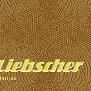 Martin Liebscher Ein Mann mit Eigenschaften