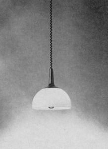 Pendelleuchte 1153/R