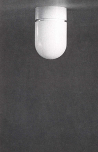 Deckenleuchte 3506 f. 1 Leuchtstofflampe L 26 W