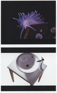 DURAVIT