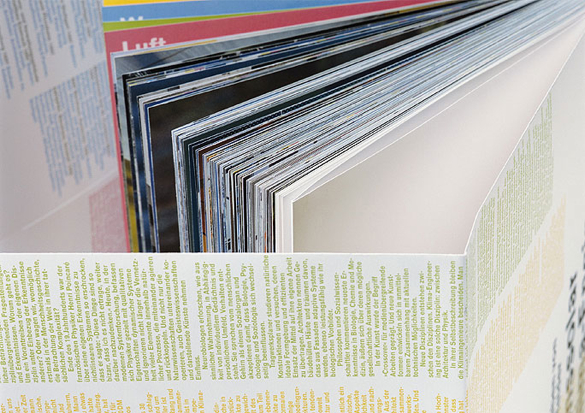Transsolar Klima-Engineering - Buch