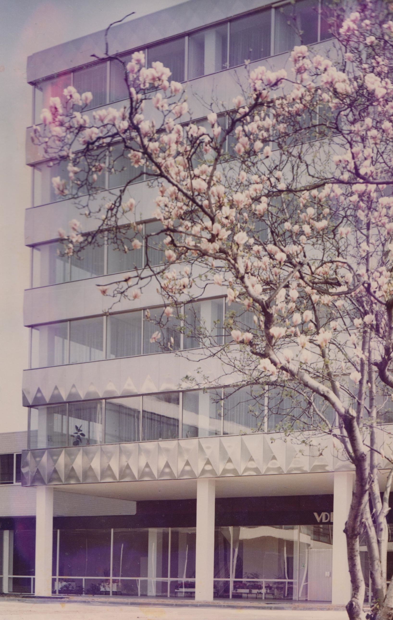 Fassadenelement  /1964