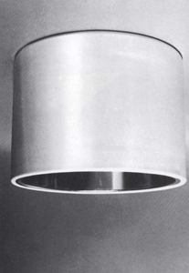 Deckenaufbauleuchte 770198