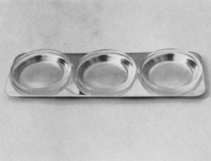 Portionsschale mit Glaseinsätzen 15903