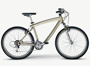 BMW Cruising Bike