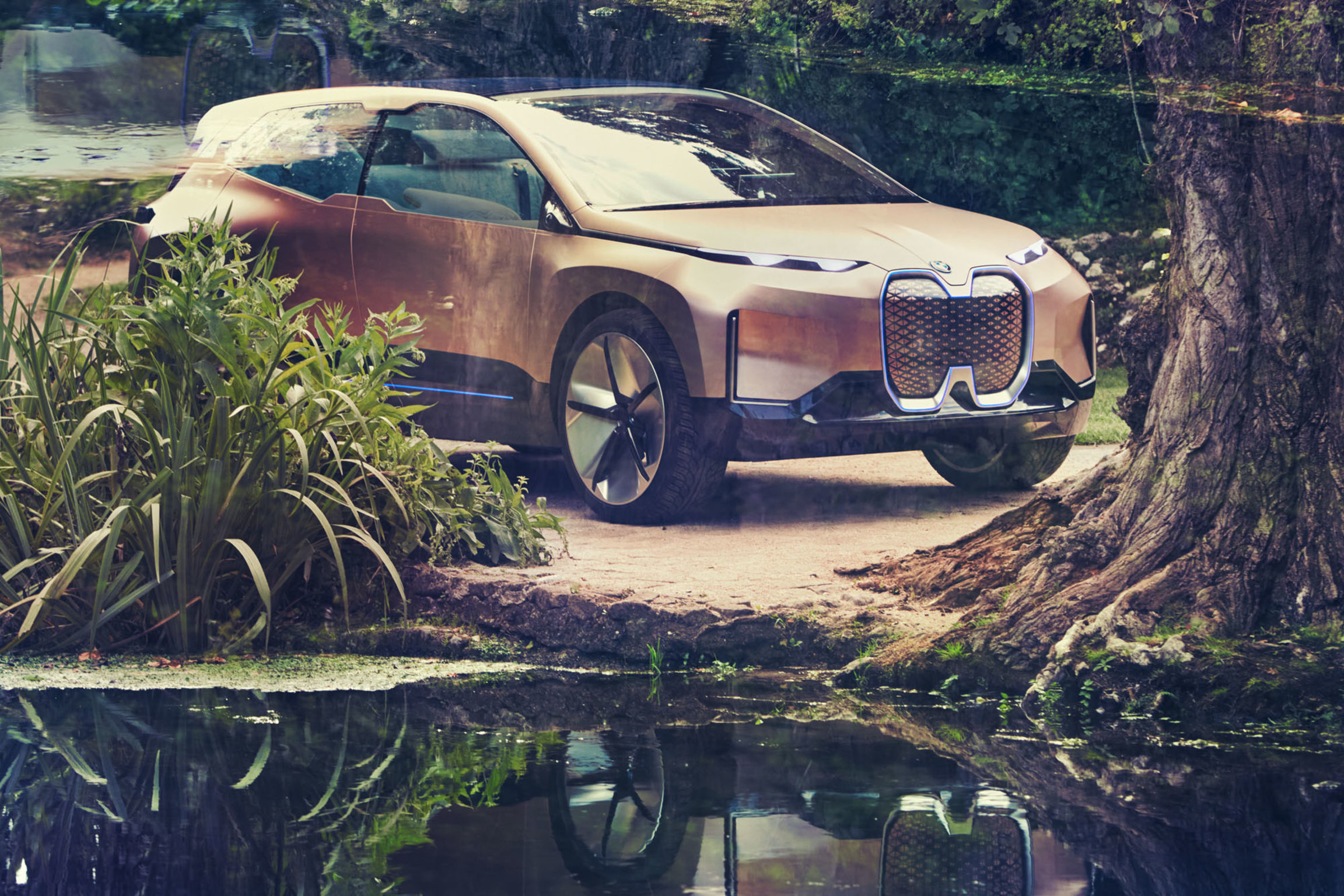 The BMW Vision iNEXT