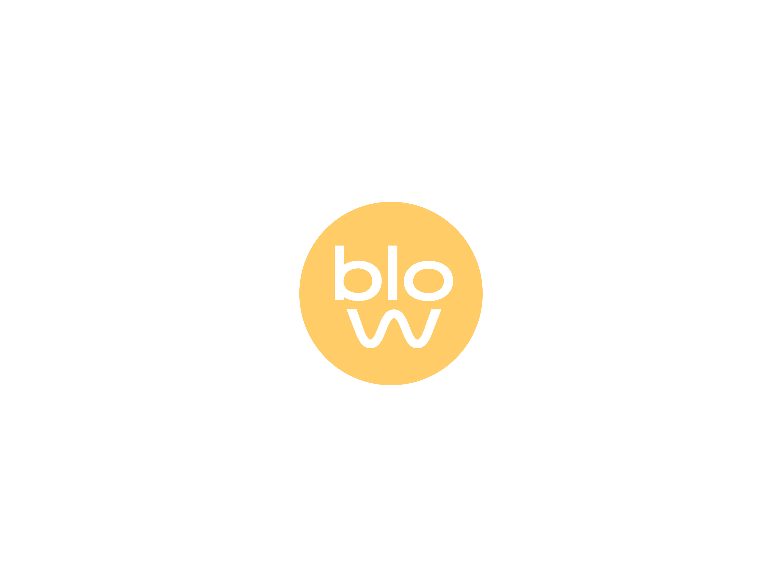 BloBlow Branding