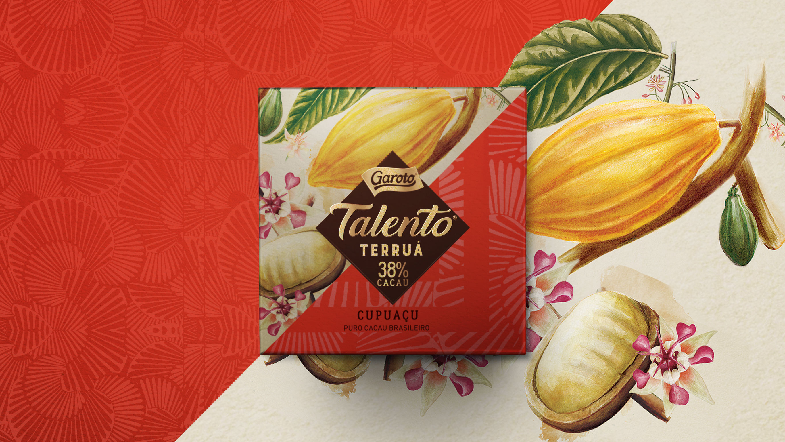 Talento limited edition pack: Terruá