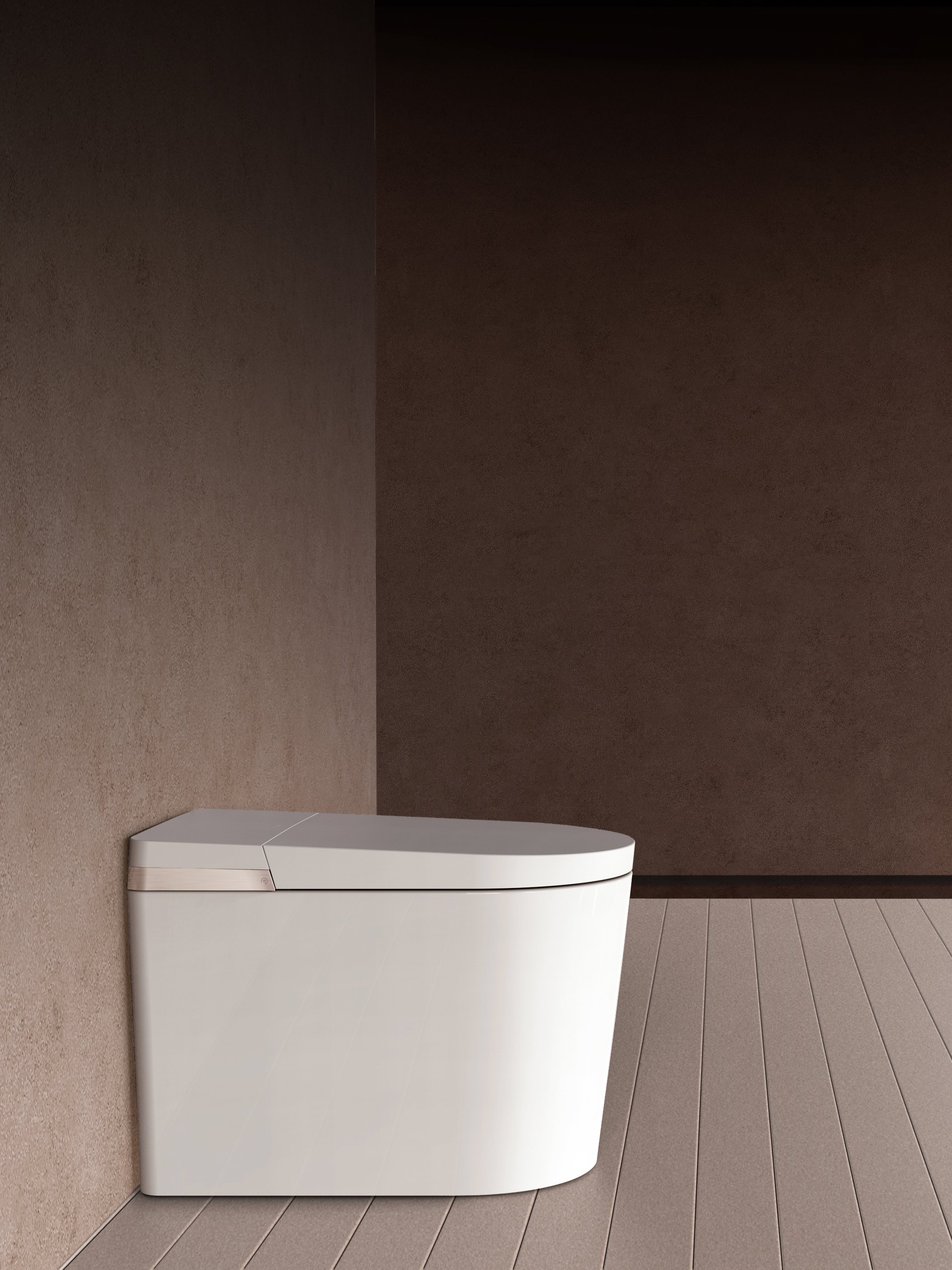 Schumann Intelligent Toilet