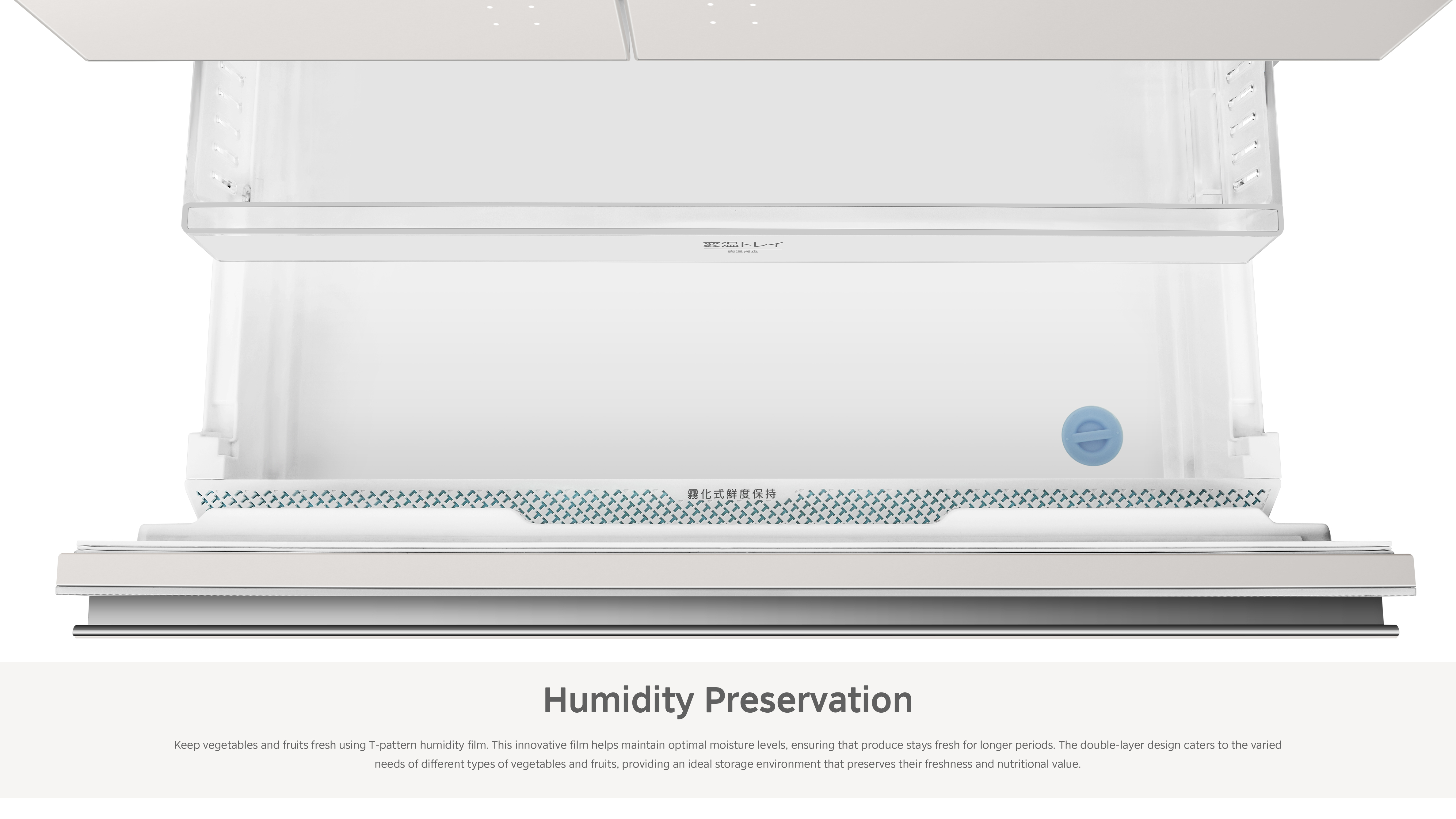 Toshiba Master Built-in refrigerator