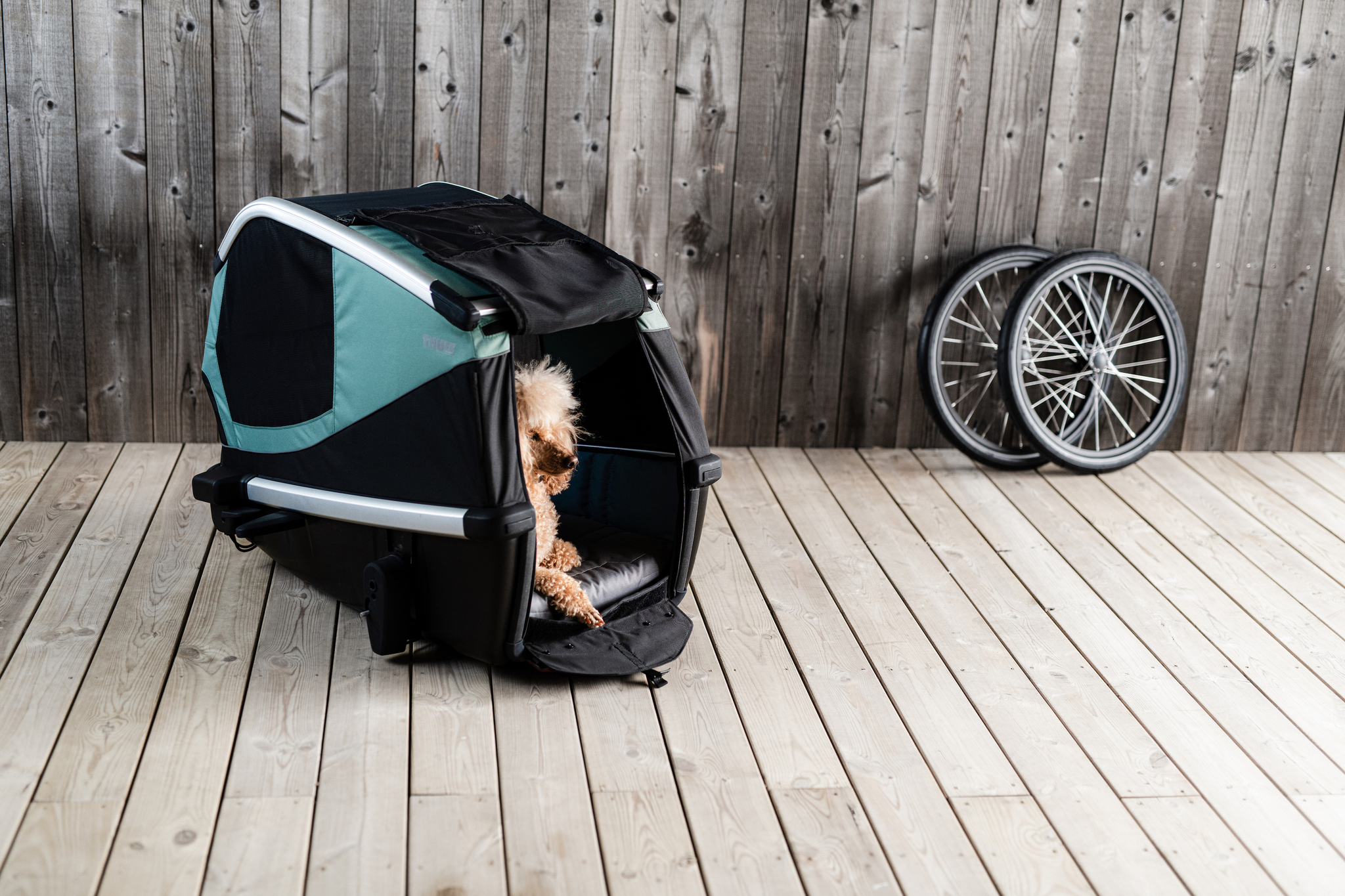 Thule Bexey