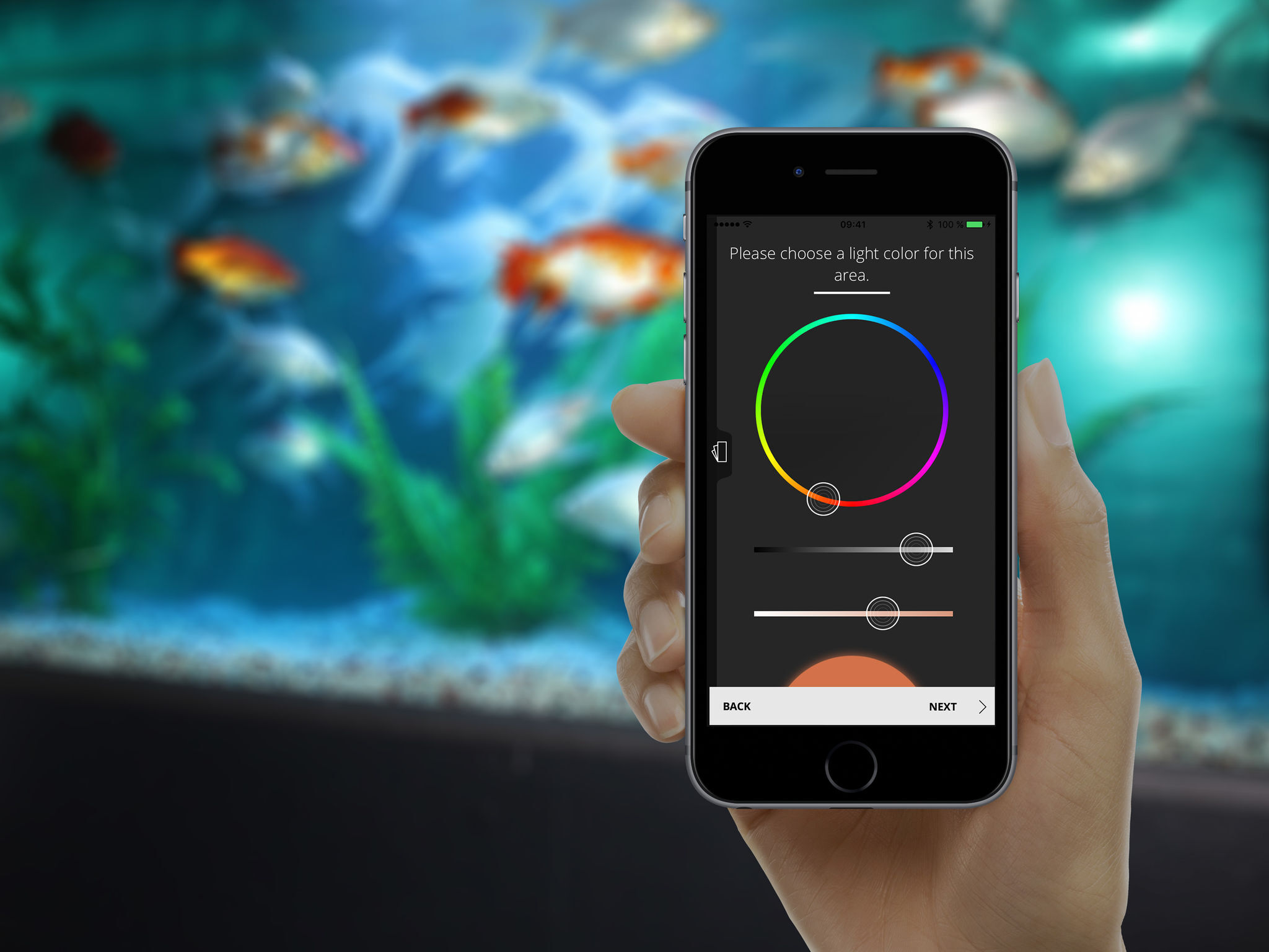 LUPYLED-App