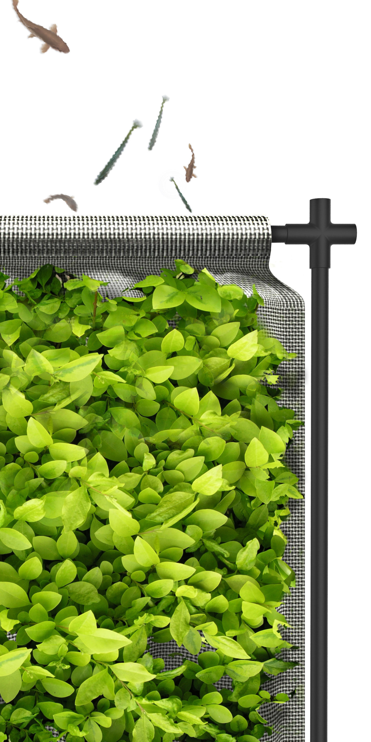 Floating Garden