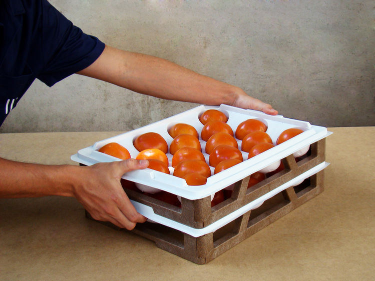 Fresh Fruit Packing