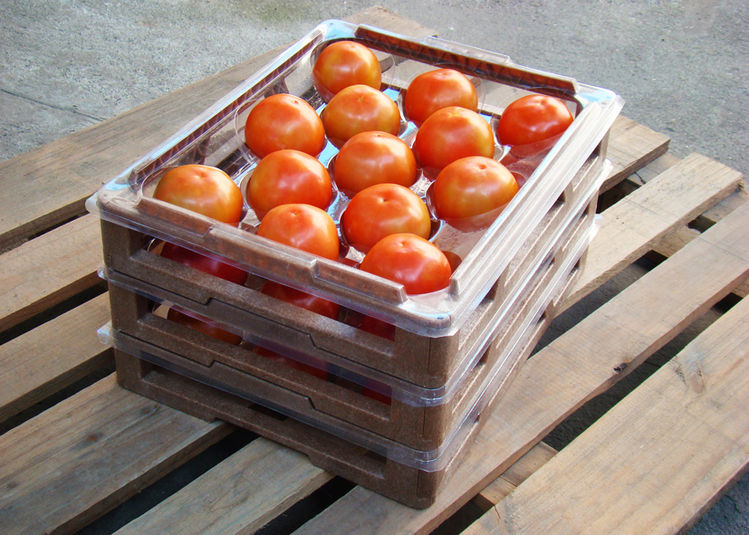 Fresh Fruit Packing