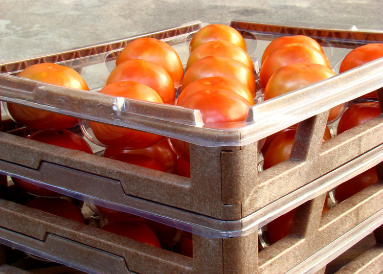 Fresh Fruit Packing