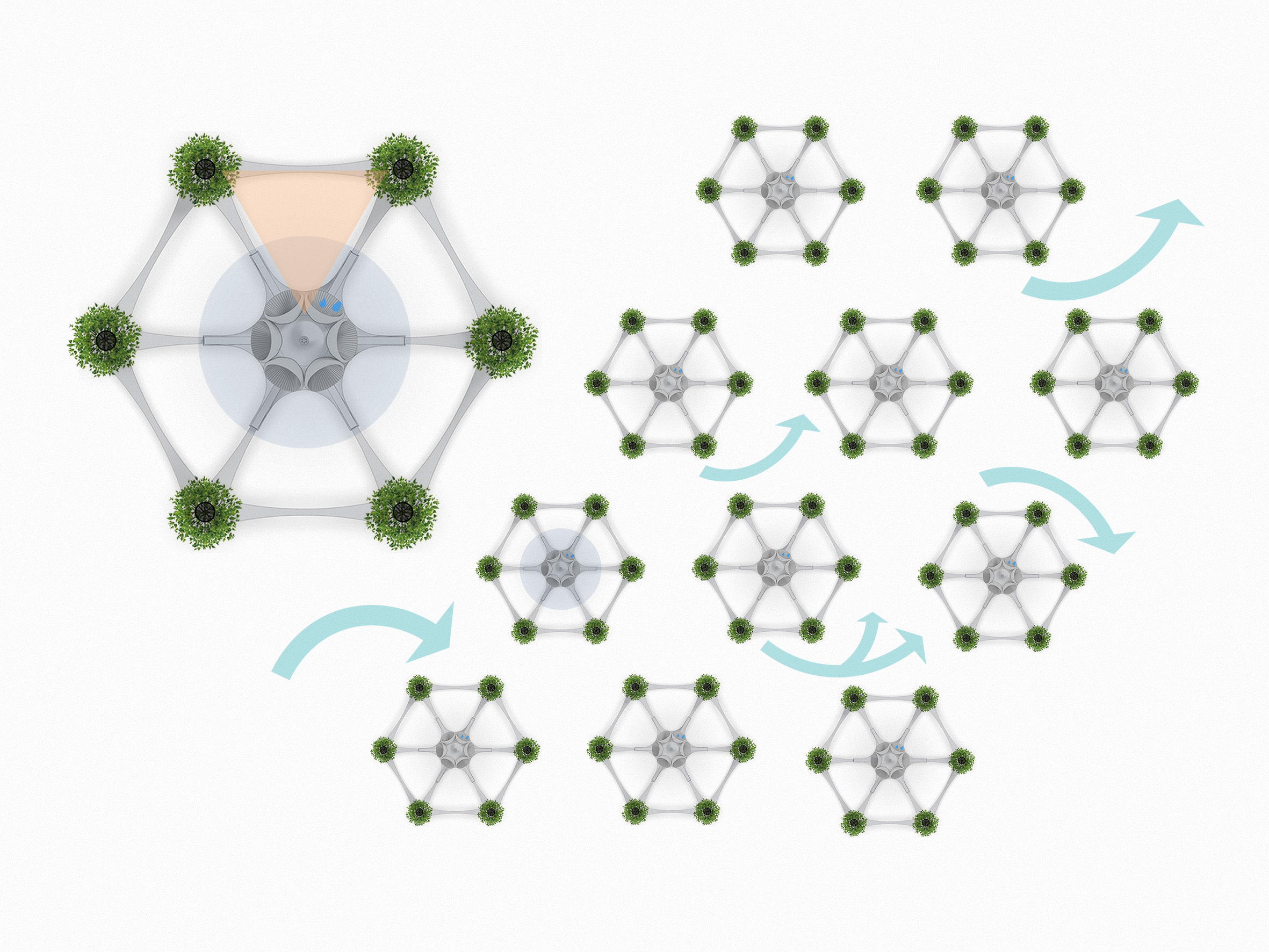 Cyclic Growth Base