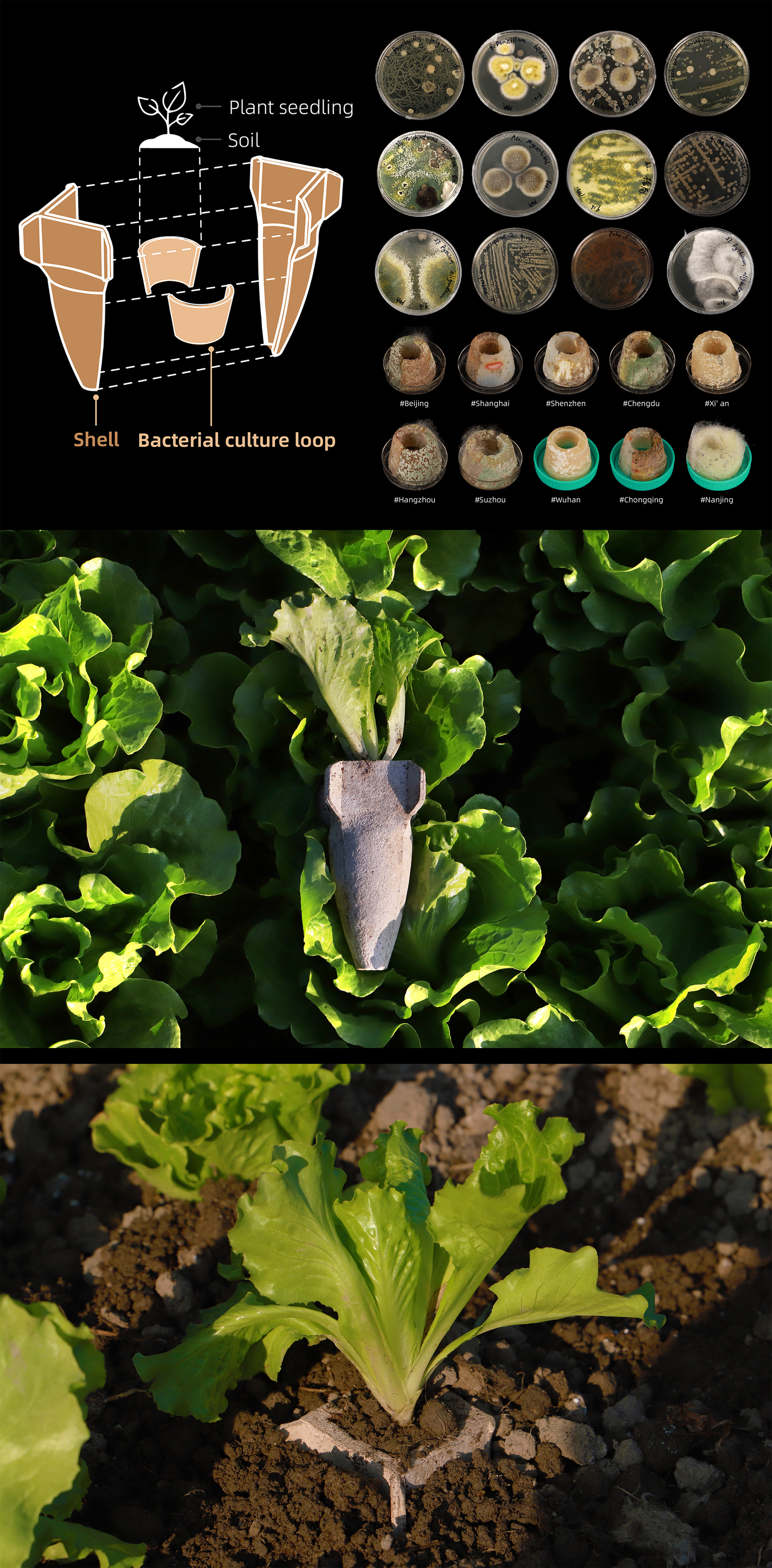 MicroCrop